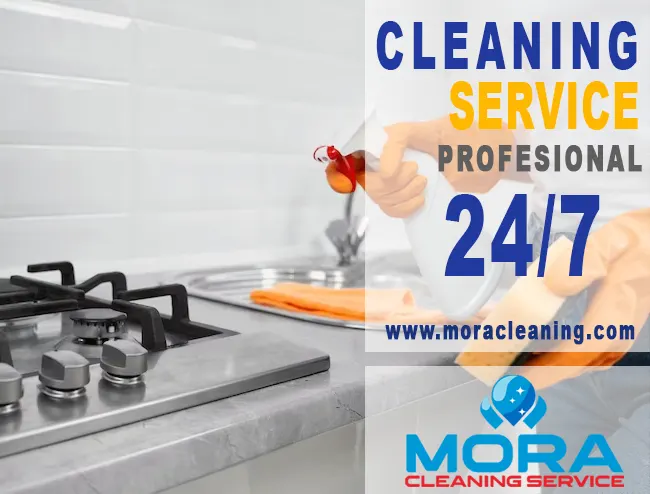 Cleaning services chicago il