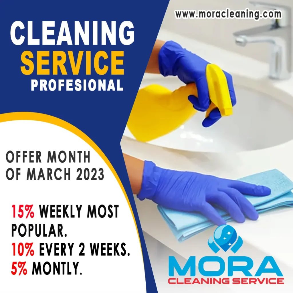 Cleaning services in chicago